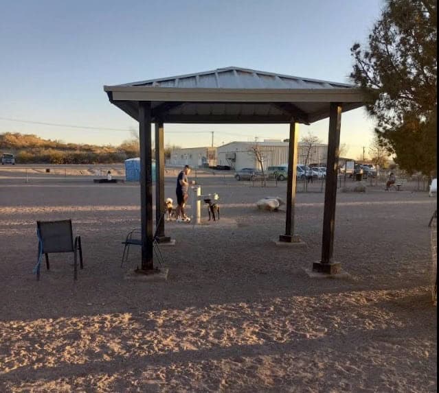 The Best Dog Parks in Las Cruces: Where Your Pup Can Play