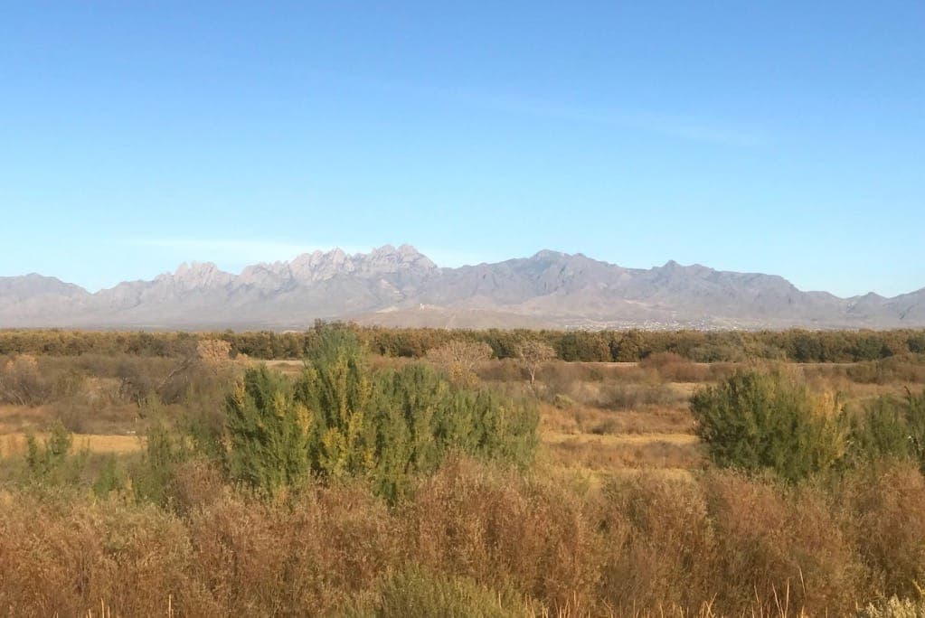 The Mesilla Valley Bosque State Park to Resume Operations