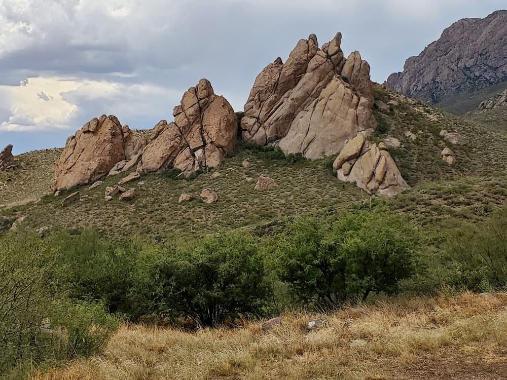 Dripping Springs Natural Area
