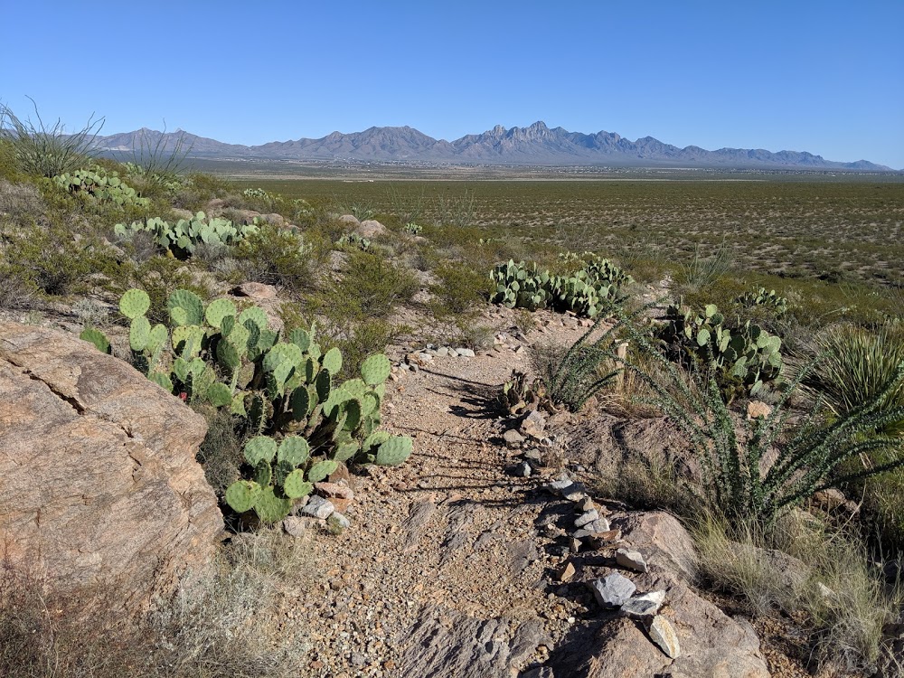 Chihuahuan Desert Nature Park - Image 1