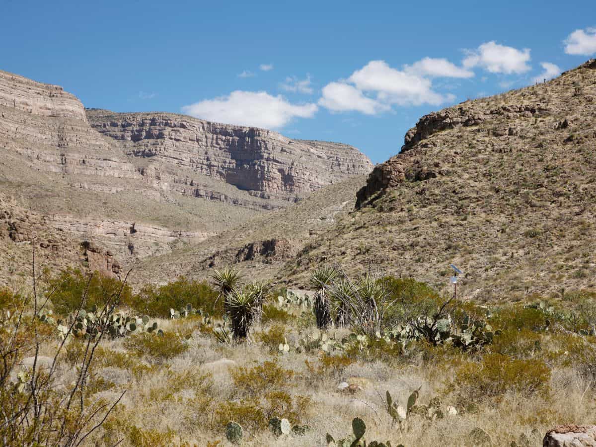 Oliver Lee Memorial State Park: A Guide to History, Hiking, and Camping