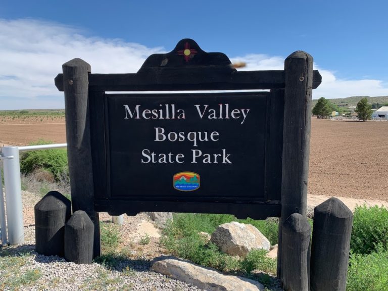 Mesilla Valley Bosque State Park