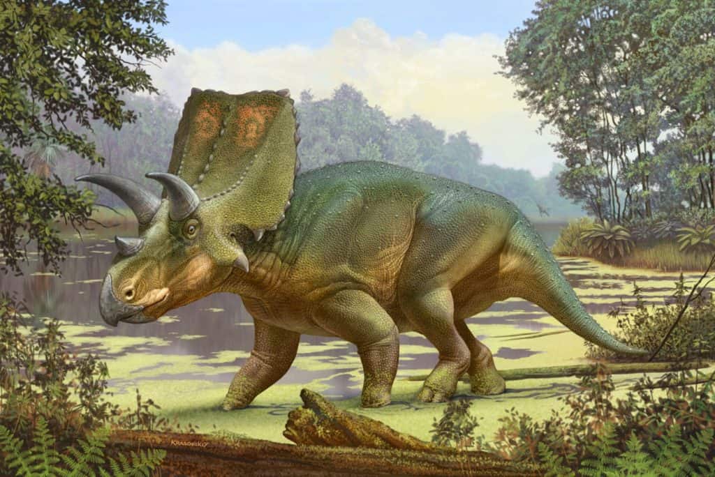 Sierraceratops Dinosaur Discovered Near Truth or Consequences