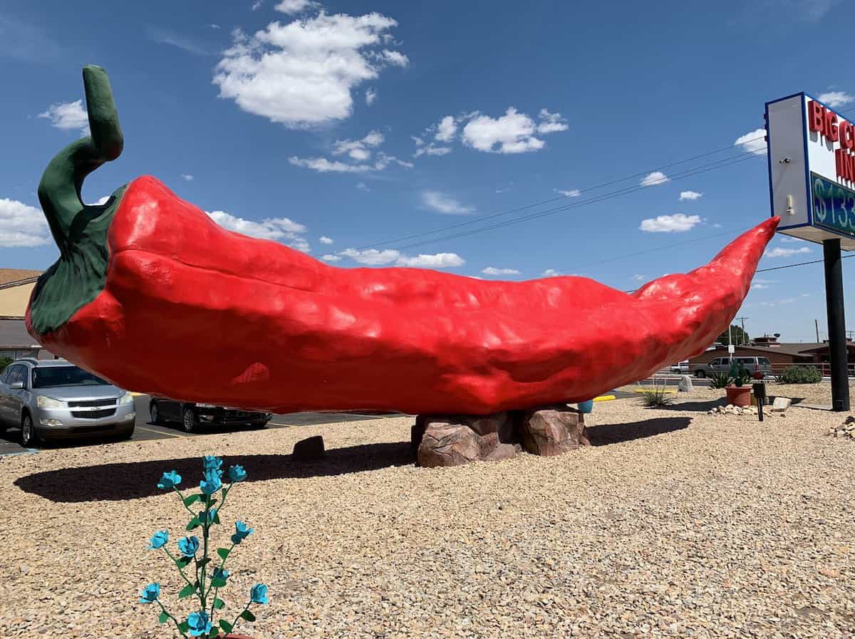 Photo of the World's Largest Red Chile Pepper