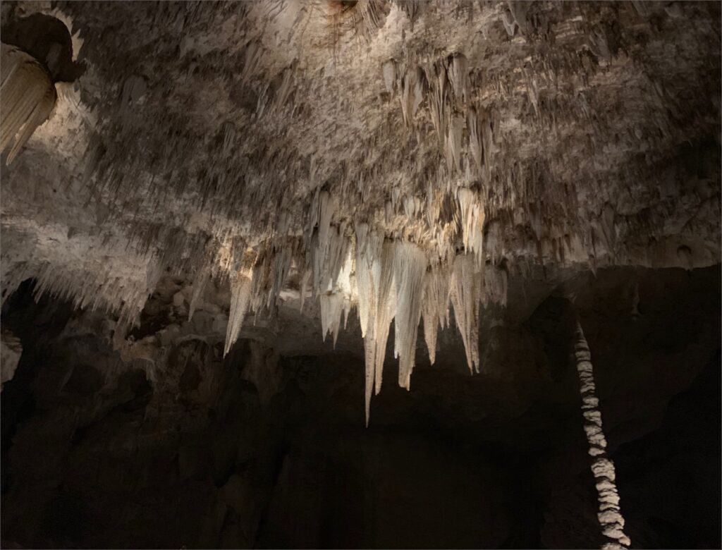 Stalactites and stalagmites inside a dimly lit cave at Carlsbad Caverns State Park.
