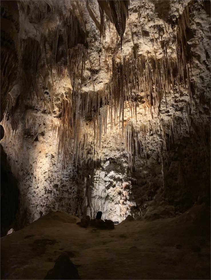 Interior of a cave with stalactites hanging from the ceiling in Carlsbad Caverns State Park, illuminated from below.