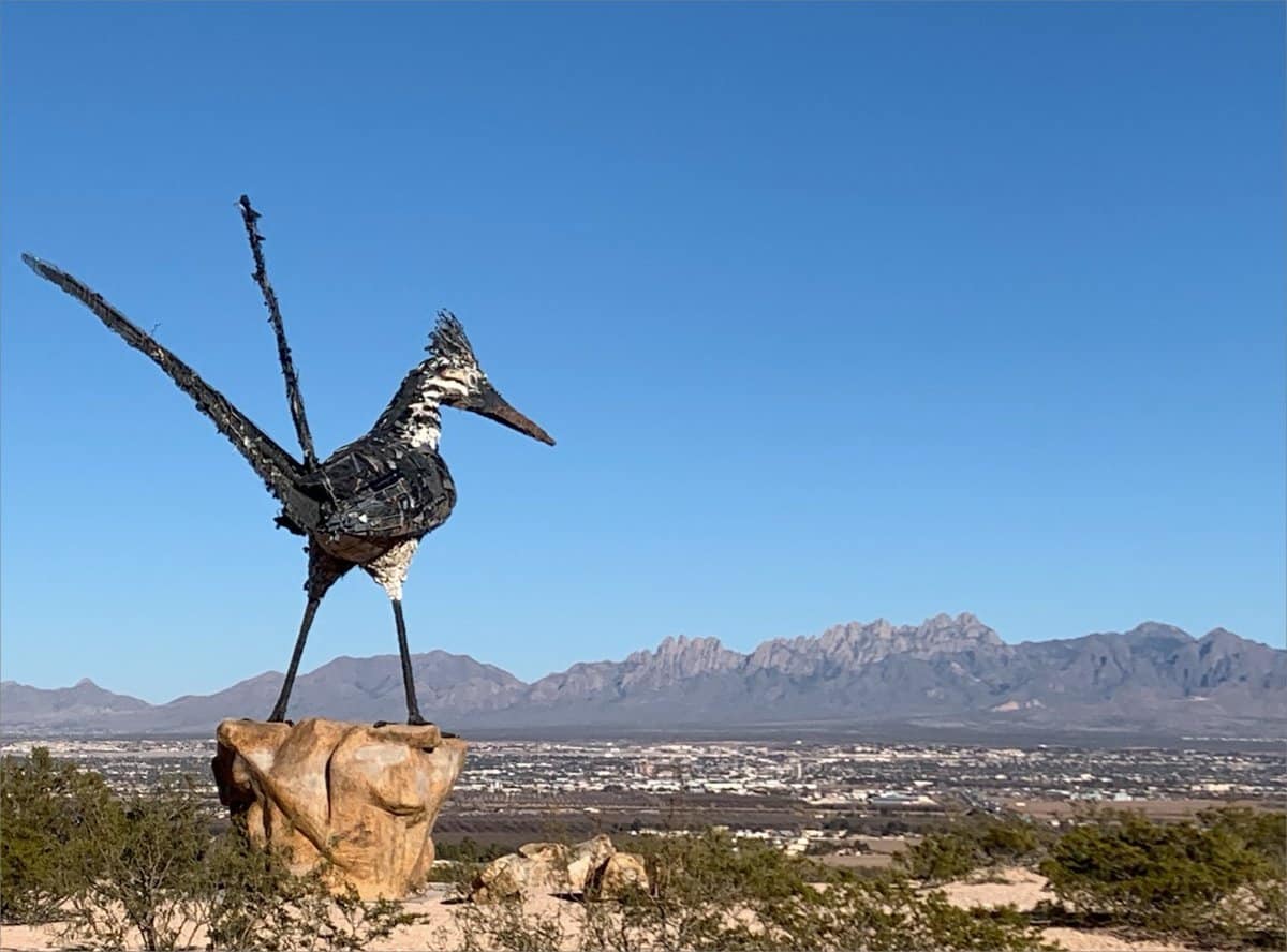A bird is standing on top of a rock with mountains in the background near the unique landmark, Las Cruces NM.